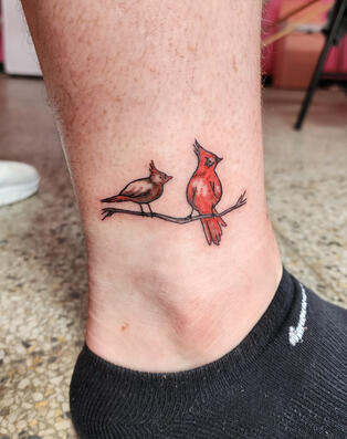 Cardinals